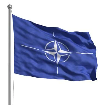 Flag of nato Stock Illustration