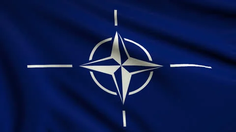 Flag of NATO looping Video stock 25319880