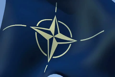 Flag of NATO NTSC Stock Footage 14613143