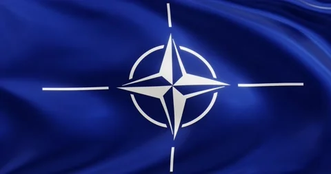 Flag of NATO, Seamless looping animation fluttering in the wind Stock Footage 172529502