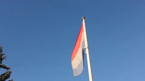 Flag of Netherlands Видео 124521395