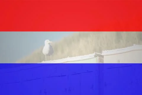 Flag of Netherlands in minimalistic composition with seagull Stock Illustration