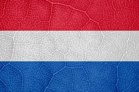 Flag of the Netherlands on the structure of a tree leaf macro 스톡 사진