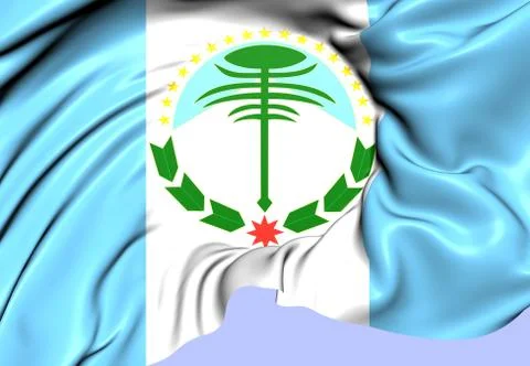 Flag of neuquen Stock Illustration
