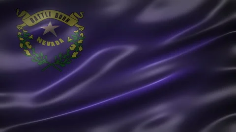 Flag of Nevada, Silver State, font view, full frame, sleek, glossy, Stock Footage 264723206
