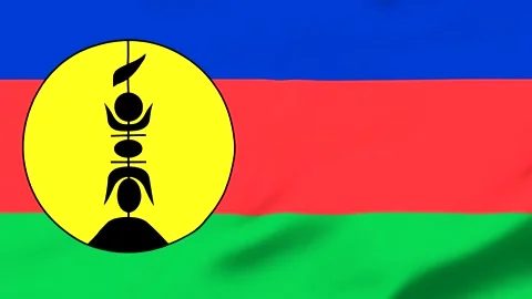 Flag of New Caledonia with yellow circle and black symbol 库存影片 343573279