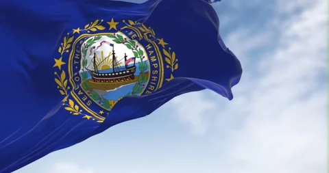 The flag of New Hampshire state flag waving in the wind Stock Footage 213528668