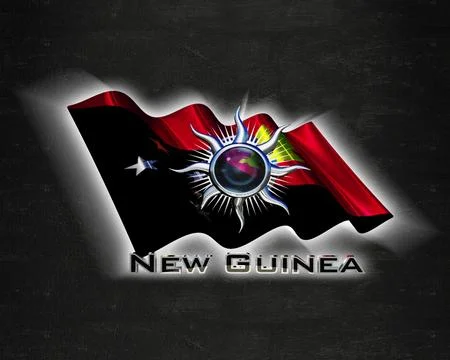 Flag NewGuinea quality designer flag Stock Illustration