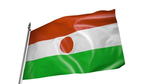 Flag of Niger on a flagpole. Animation 3D on a white background 库存影片 219747612