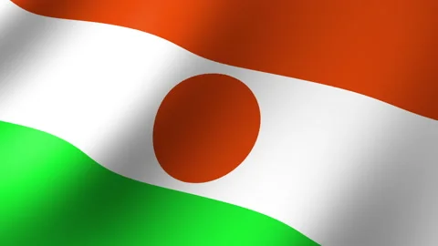 The flag of Niger is flying in the wind. Seamless Animation 3D Stock Footage 200850392