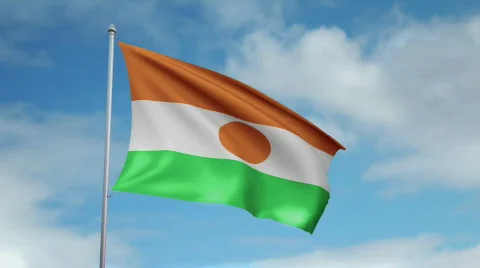 Flag of Niger 스톡 동영상 445255