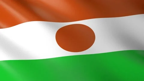 Flag of Niger Stock Footage 151514139