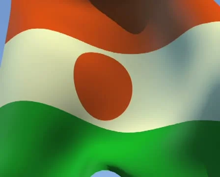 Flag of Niger PAL Stock Footage 14637263