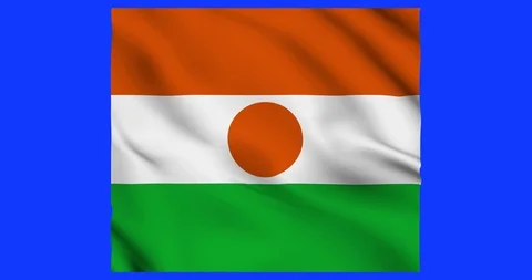 Flag of Niger waving on a samless loop over an easily removable background Stock Footage 98372383