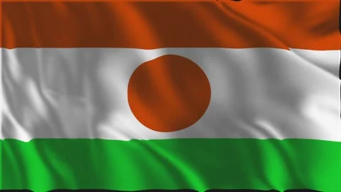 Flag of Niger waving slowly Stock-Footage 339016790
