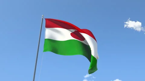 The flag of Niger Waving on the Wind. Stock Footage 47336698