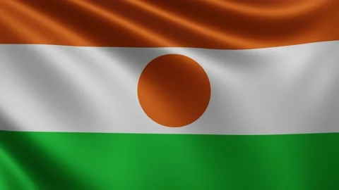 The flag of Niger in the wind close up, the national flag of Niger flutters in Stock Footage 219508601