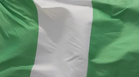 Flag of Nigeria Stock Footage 51768367