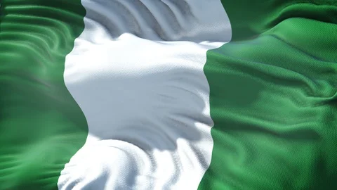Flag of Nigeria Stock Footage 97762825