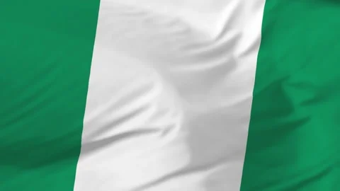Flag of Nigeria Stock Footage 146607365