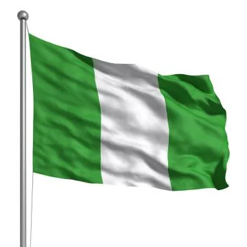Flag of nigeria Illustrazione stock