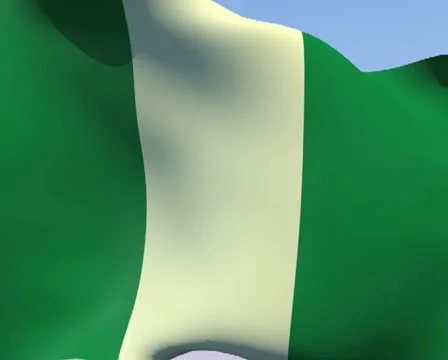 Flag of Nigeria PAL Stock Footage 14640258