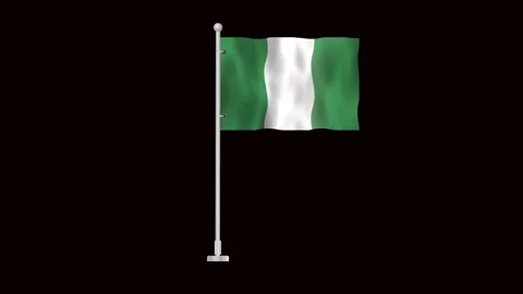 Flag of Nigeria waving Stock Footage 320898510