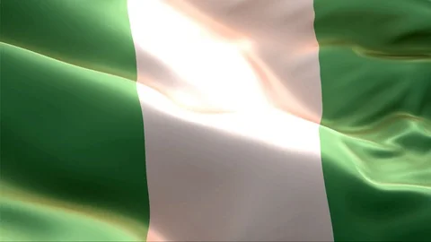 Flag of Nigeria waving in the wind. Stock Footage 129285736