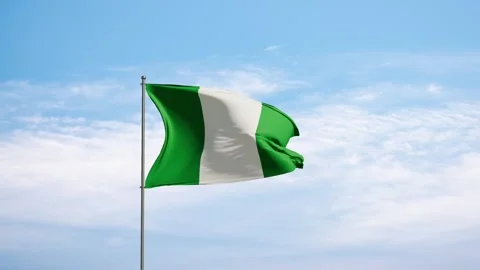Flag Nigeria waving in the wind. Stock Footage 276467656