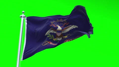 Flag of North Dakota US State waving flag animation on a green screen Stock Footage 296868651