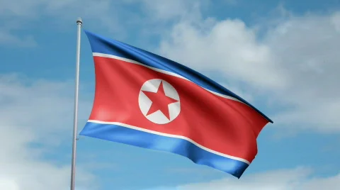 Flag of North Korea Video stock 444258