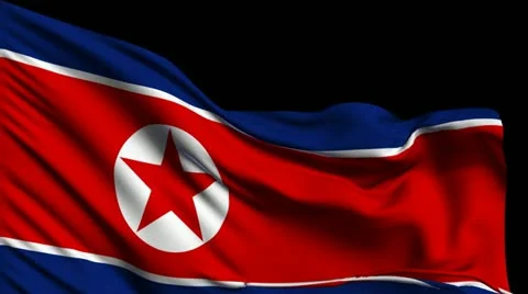 Flag of North Korea Stockbeeldmateriaal 22310070