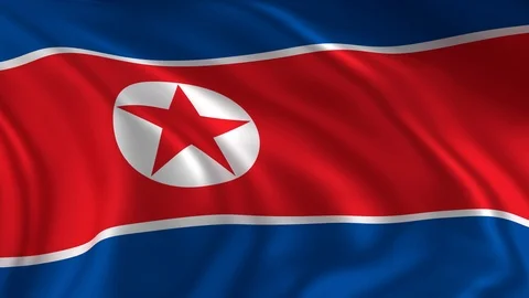 Flag of North korea Stock Footage 87009143
