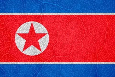 Flag of North Korea on the structure of a tree leaf macro Stock-Fotos