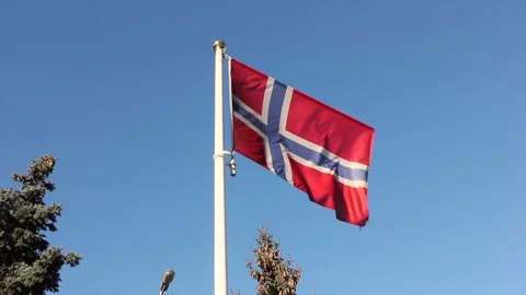 Flag of Norway 스톡 동영상 124521441