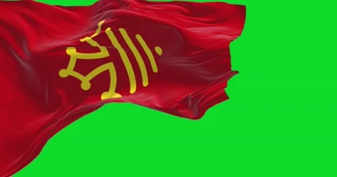 The flag of Occitania waving in the wind... | Stock Video | Pond5