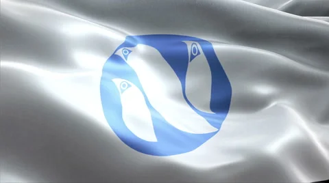 Flag Ogasawara Vídeos de archivo 47758768