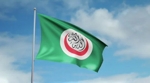 Flag of OIC Video stock 445241