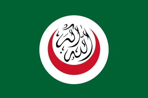 Flag of OIC - Vector illustration. イラスト素材