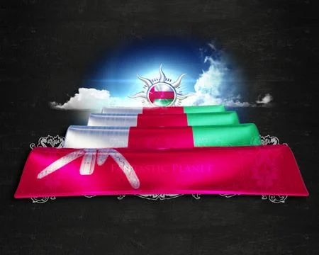Flag Oman quality designer flag Illustration
