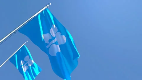 The flag of OPEC flutters in the wind Stock Footage 143993126