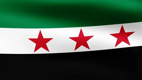 Flag of opposition Syria , fluttering in the wind. 3D rendering. Looping video. 스톡 동영상 75805329