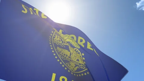Flag of Oregon Waving in the Wind Video stock 118425978