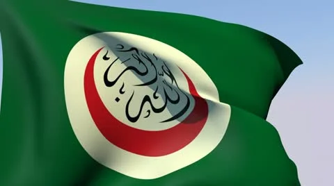 Flag of the Organisation of Islamic Cooperation HD Stock Footage 14834331