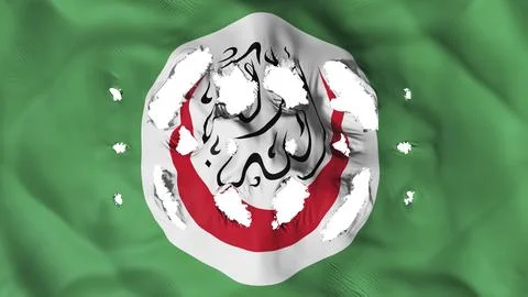 Flag of the Organisation of Islamic Cooperation with a small hole, white Stock Illustration