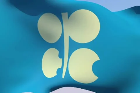 Flag of Organization of the Petroleum Exporting Countries NTSC Stock Footage 14834621