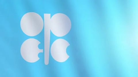 The flag of Organization of the Petroleum Exporting Countries flutters in the Stock Footage 146221904