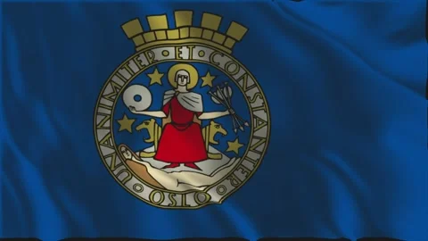Flag of Oslo waving slowly Stock Footage 341968781