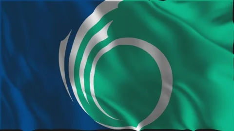 Flag of Ottawa waving slowly Stock Footage 341503021