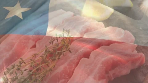 Flag overlay rippling, frame shifting, pork slices revealing thyme and lemon, Stock Footage 329505502